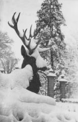 Z 22  44 Schlitz Schlossgarten Vorkriegsaufnahmen
