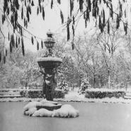 Z 27 19 Schlitz Schlossgarten Vorkriegsaufnahmen