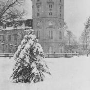 Z 29  5 Schlitz Schlossgarten Vorkriegsaufnahmen