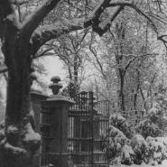 Z 29  6 Schlitz Schlossgarten Vorkriegsaufnahmen