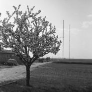 L78_018